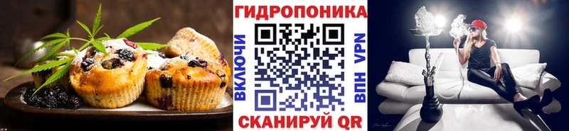 shop как зайти  Макушино  Cannafood конопля 