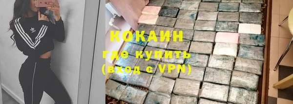 индика Кукмор