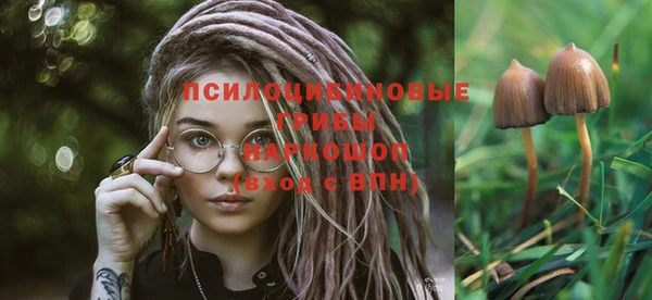 бошки Кулебаки