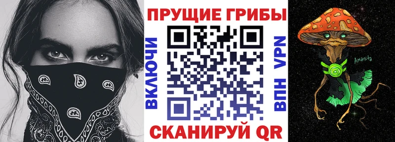 Галлюциногенные грибы MAGIC MUSHROOMS  Макушино 