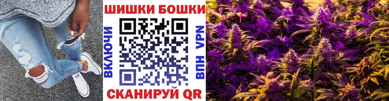 Канабис OG Kush  Макушино 